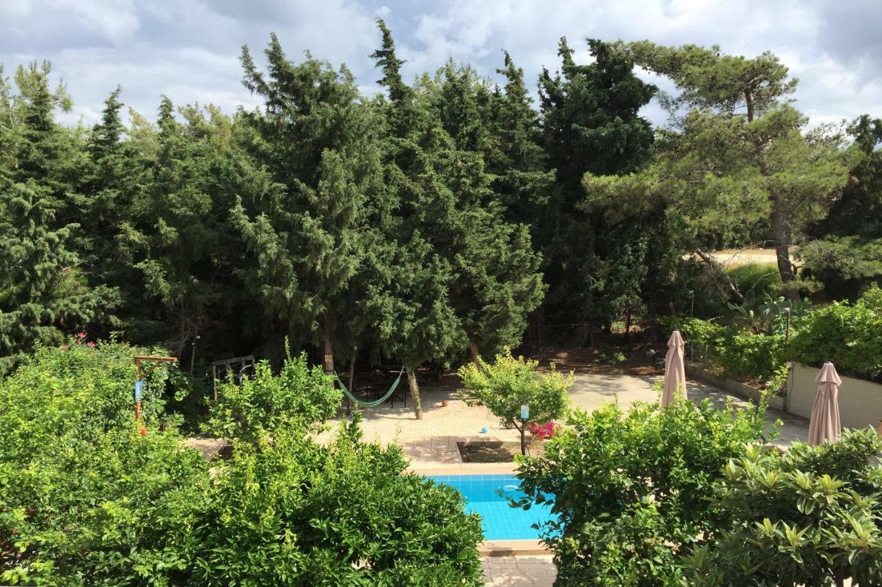 Sunny Rhodes Villa Koskinou  Extérieur photo
